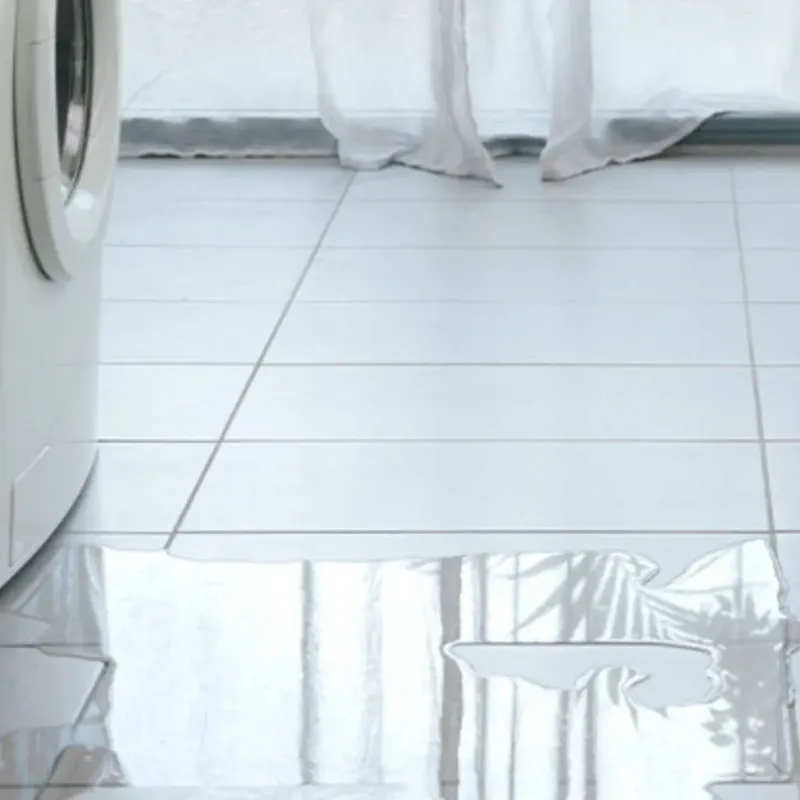 Appliance Leak Cleanup in Heidelberg, TX