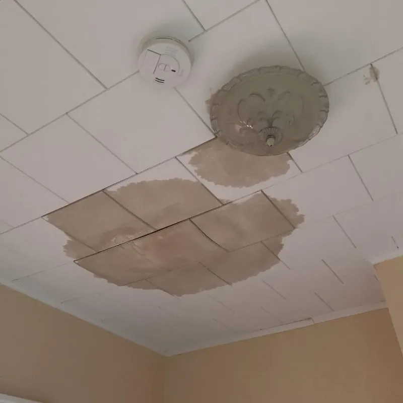 Ceiling Water Damage Repair in Heidelberg, TX