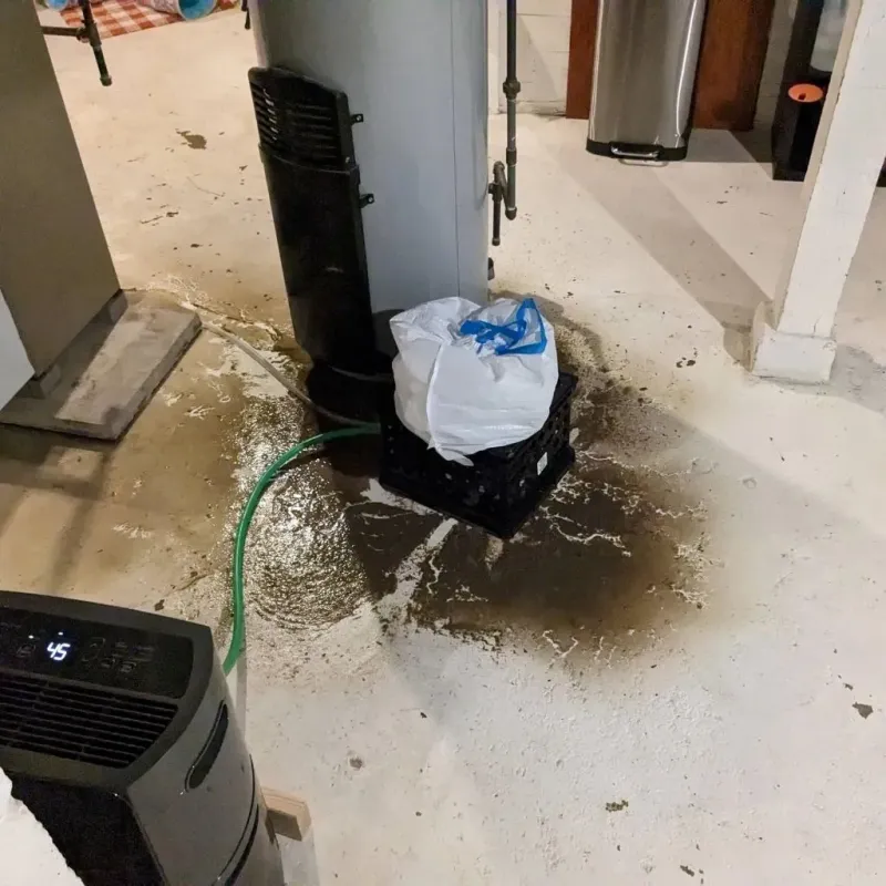 Sewage Backup Cleanup Service in Heidelberg, TX